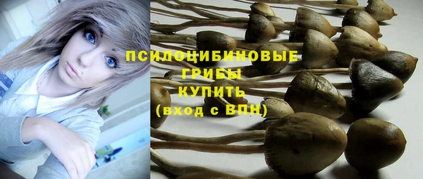 MDMA Нефтекумск