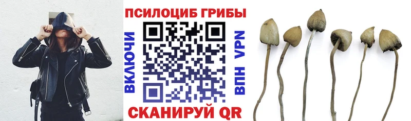 Псилоцибиновые грибы мицелий  гидра зеркало  Карталы 