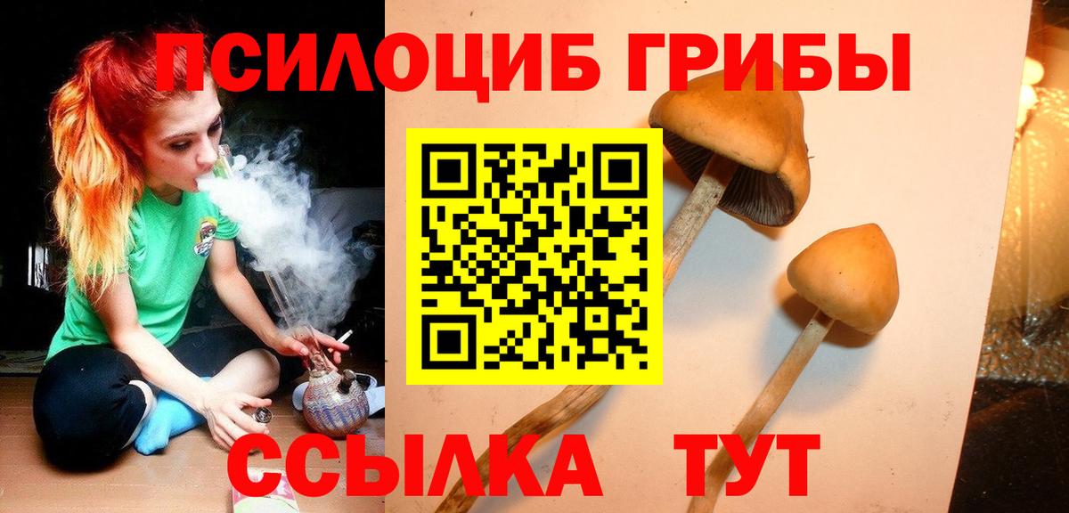 Псилоцибиновые грибы GOLDEN TEACHER  закладки  Карталы  Вход с VPN 